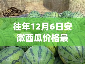花开无言 第7页