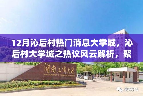 条款 第177页