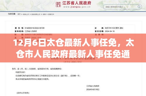 太仓市人民政府最新人事任免通知，聚焦人事调整动态（12月6日更新）