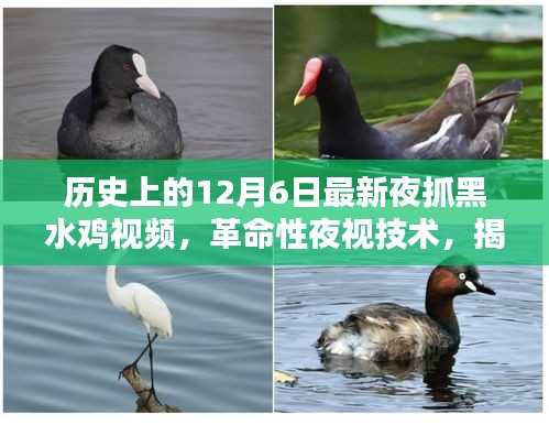 yarenqingzhi 第10页