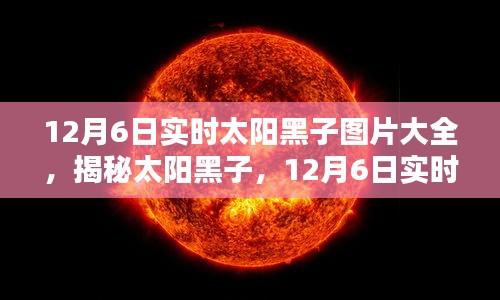 dongzhangxiwang 第10页
