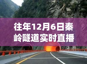 秦岭隧道探秘之旅，与自然美景的邂逅，寻找内心的宁静直播日纪实