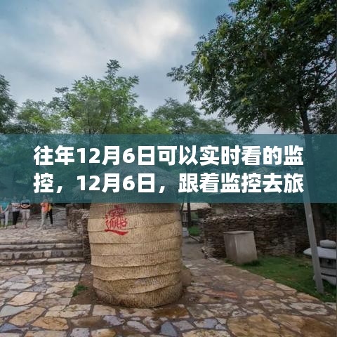 zhizhengzhaoxi 第9页