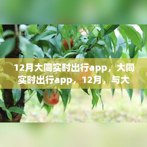 走马观花 第8页