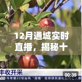 cancongniaodao 第6页