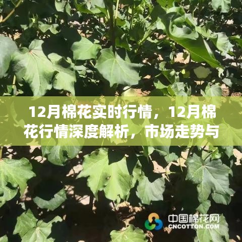 回眸最初 第8页