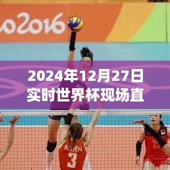 独家揭秘，探秘小巷深处的足球盛宴——世界杯直播时间预告（2024年世界杯直播时间）