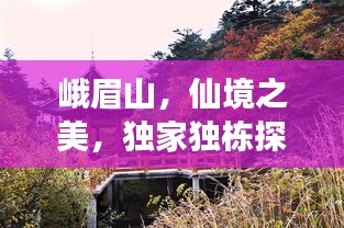 花开无言 第5页