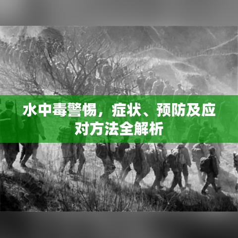 江南烟雨断桥殇 第8页