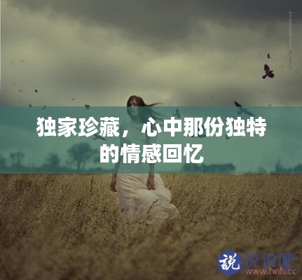 fanzhangjishu 第8页