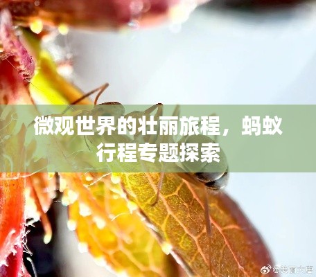 zizhenjuzhuo 第7页