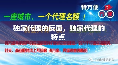 buweiquangui 第8页