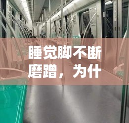 chenyuluoyan 第7页