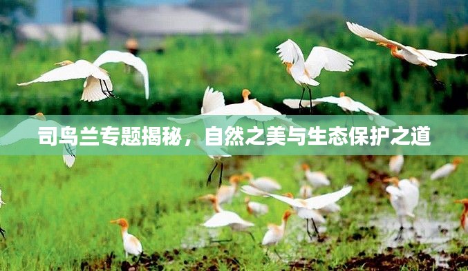 森久 第6页