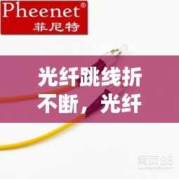 初告白 第6页
