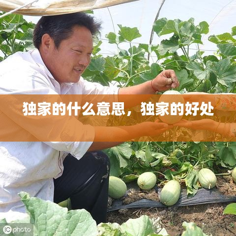 新闻 第111页