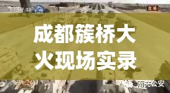 案例 第111页