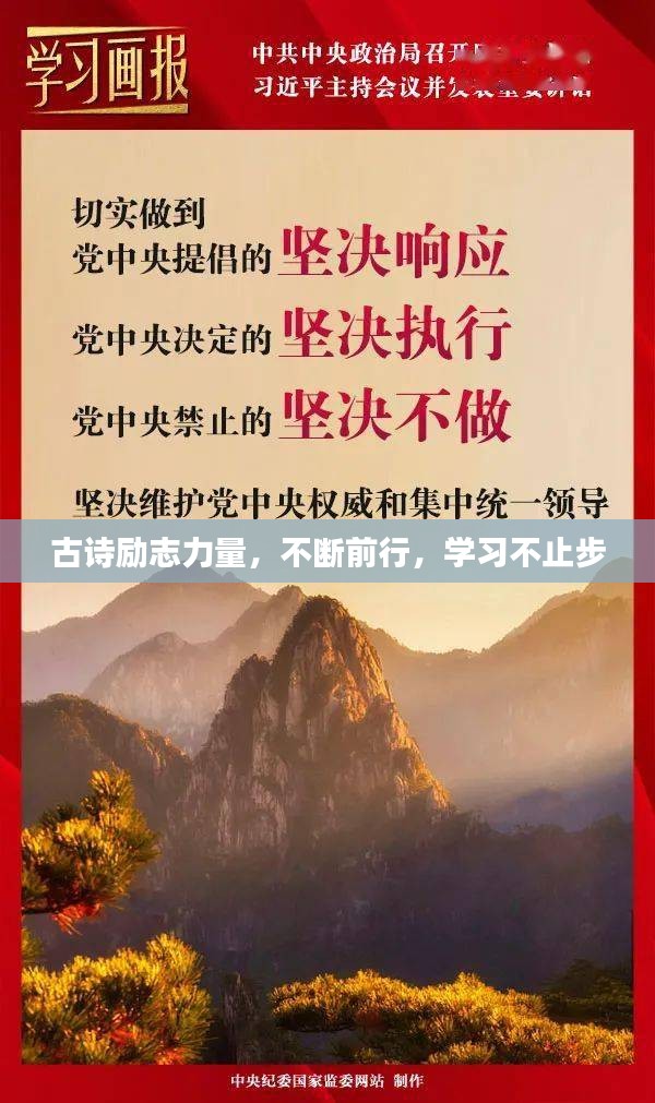 走马观花 第6页