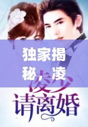 独家揭秘，凌绫的秘密世界独家占有凌绫，深度解读其背后的故事