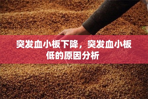 yishisanniao 第6页