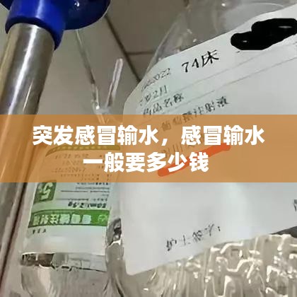 评价 第101页
