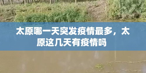 buweiquangui 第7页
