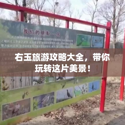 商品分类 第94页