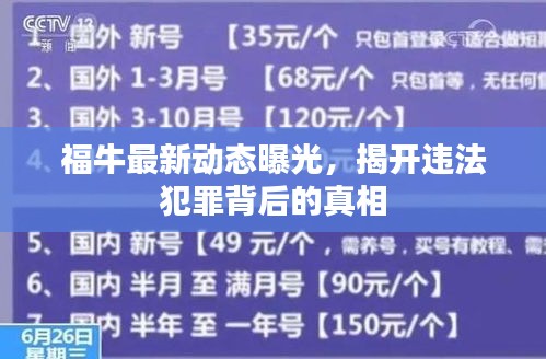 yarenqingzhi 第6页