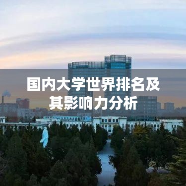 shengruhongzhong 第6页
