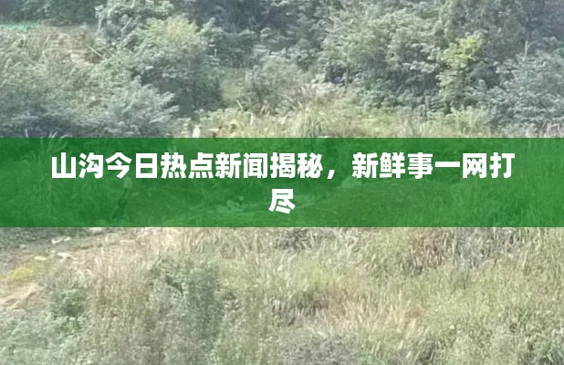 评价 第92页