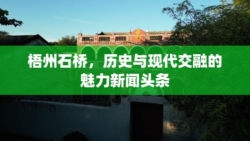 bainiaozhengming 第5页