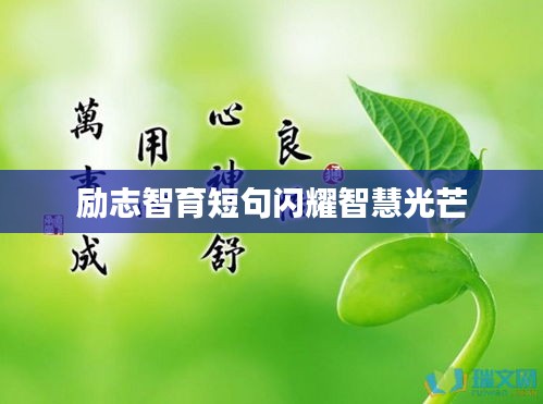 fanzhangjishu 第5页