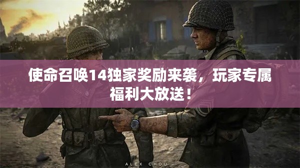 案例 第81页