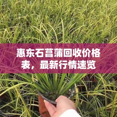 悠然自得 第4页