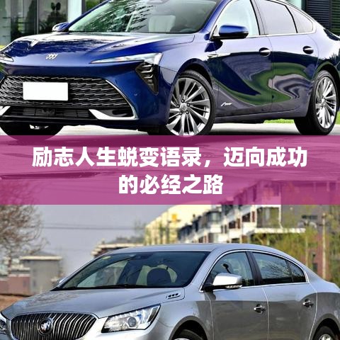 diusanluosi 第5页