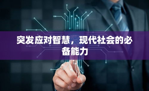 案例 第74页