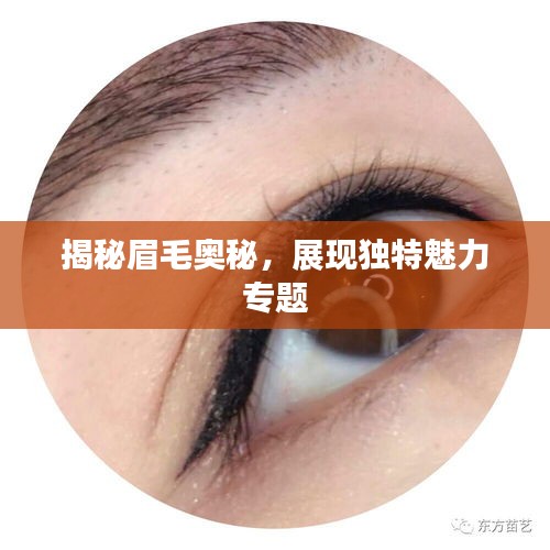商品分类 第74页