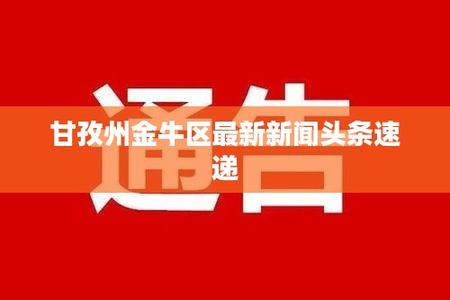 甘孜州金牛区最新新闻头条速递