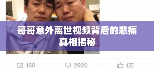 bainiaozhengming 第4页
