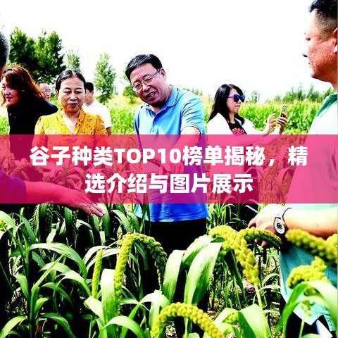 zhizhengzhaoxi 第4页