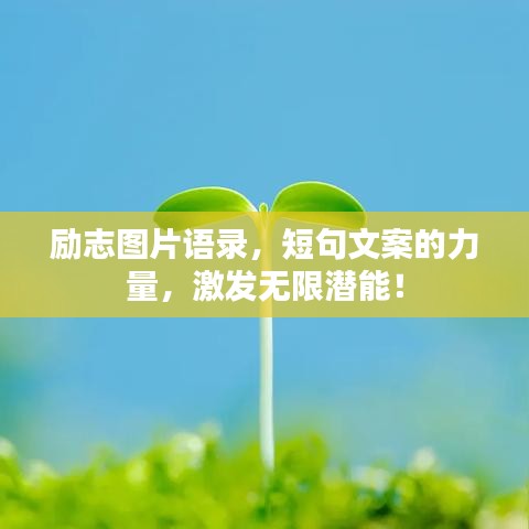 jujianyonggui 第5页