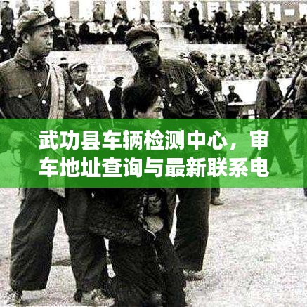 张牙舞爪 第4页