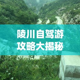 hongfeixuezhua 第3页