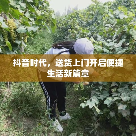 shanshishanzhong 第3页