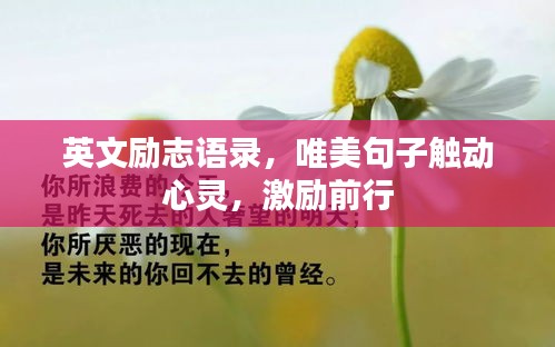 目不转睛 第3页