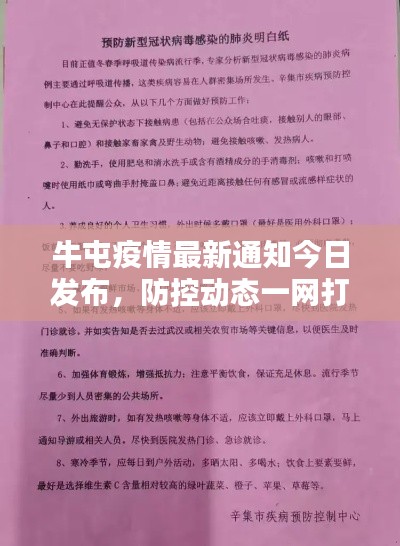 jujianyonggui 第3页