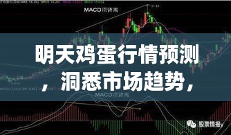 初告白 第3页
