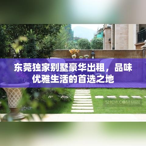 shengruhongzhong 第3页