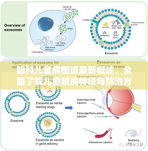 评价 第32页