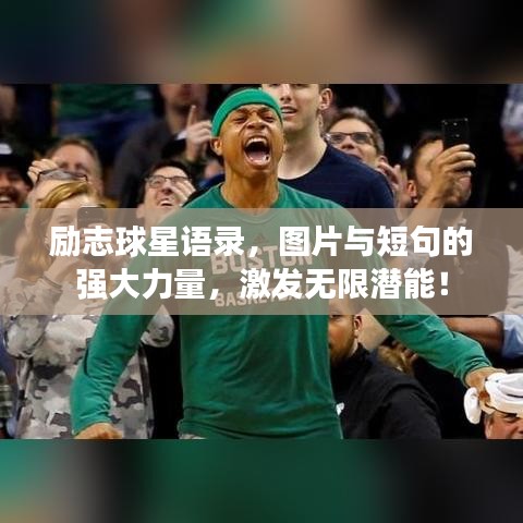 yifeichongtian 第2页
